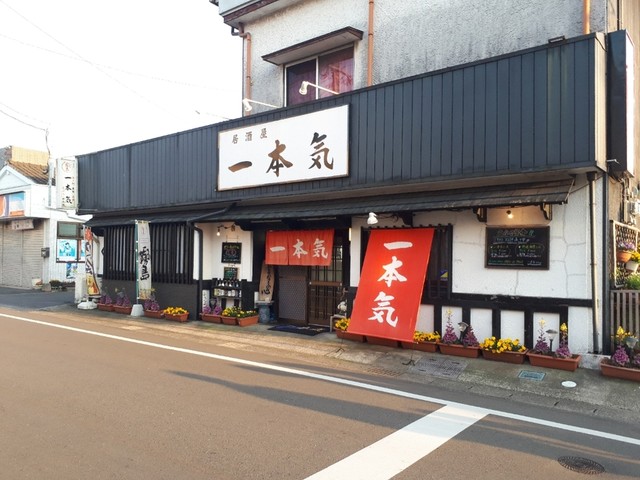 居酒屋 一本気 高鍋 居酒屋 食べログ 居酒屋 一本気 高鍋 居酒屋 食べログ