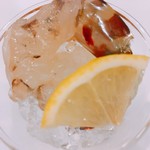 美酒美肴 はまゐ - 車海老(上から)