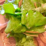 風の葡萄 - ふわふわはっぱ