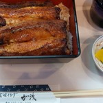 Sumiyaki Unagi Kamo - 