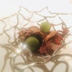 ブレストンコート ユカワタン - 