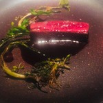 ブレストンコート ユカワタン - 