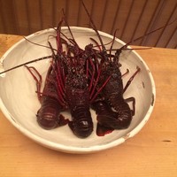 緒方 - 