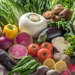 アインソフ ジャーニー - 