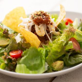 アインソフ ジャーニー_1