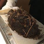 レストランエール - 泥窯