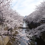 めんや宮田 - 年に一度　川沿い桜の奇跡