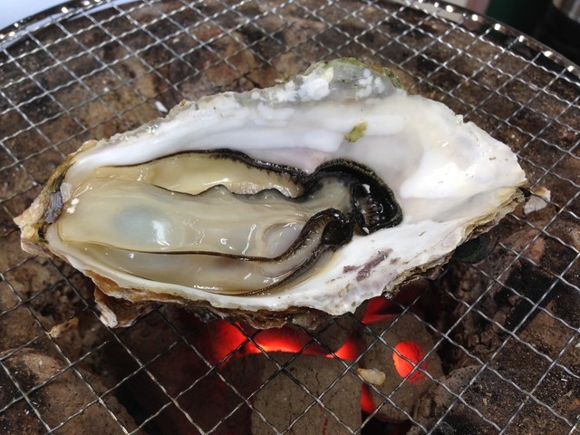海鮮バーベキュー カイ 長岡市その他 魚介料理 海鮮料理 食べログ 海鮮バーベキュー カイ 長岡市その他 魚介料理 海鮮料理 食べログ