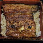 はし本 - うな重　特上