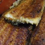 はし本 - うな重　特上