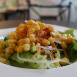 Uo - レタス、コーン、水菜、大根、人参、トレビスのサラダアップ