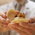 銀座 しのはら - あんぽ柿最中