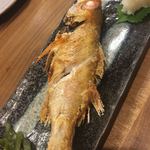 Sushi Izakaya Takajin - 