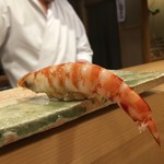 東麻布 天本 - 車海老