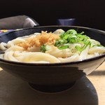 Sanuki Udon Oomae - カウンターには春の日差しが…