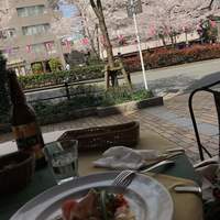 タンタ ローバ - 
