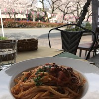 タンタ ローバ - 