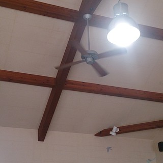 だいにんぐ・きっちん とう菜_2