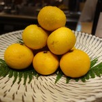 SUGALABO - 佐賀 馬渡島ゲンコウ