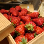 SUGALABO - 奈良中井農園いちご”古都華”