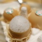 SUGALABO - 土佐ジロー卵のコーヒープリン