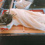 五島うどん びぜん家