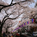 麦とろ 多摩山荘 - 播磨坂さくら並木