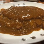 カレー専門店 白銀亭  - トンカツカレーは￥900ですよー