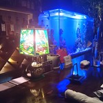 バーハクシ - 底に沈んでるニモの安否は？