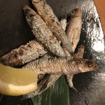 はかた地どり 福栄組合 - 