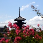 Koudaiji Hashiba - 店内からは京都らしい眺め「八坂の塔」をご覧いただく事が出来ます。