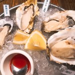 SALTY Oyster House - 