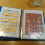 麺屋一燈 - 麺の量はこんな感じ