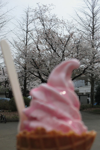 Parks Koganei Ten photo 2