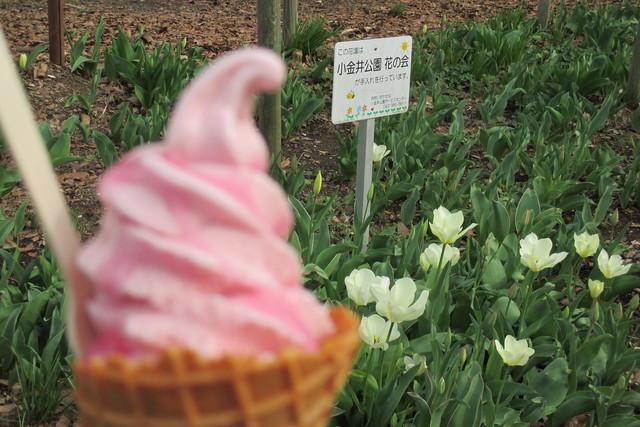 Parks Koganei Ten photo 4