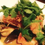 Nouvelle Ethnique ATHA - 