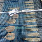 松月 - 干物も自家製です。こんな店は中々有りませんね〜。(^^)