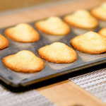 SUGALABO - マドレーヌ