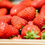 SUGALABO - 古都香