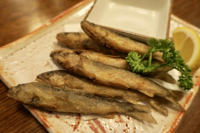 どん平 - 向ケ丘遊園/居酒屋 | 食べログ