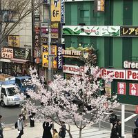 新宿割烹 中嶋 - 