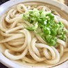 うつ海うどん