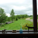 リーズカフェ - 窓からの景色