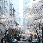 日本ばし すし鉄 - 高島屋から大丸へ