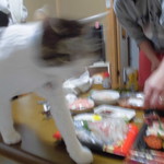 本庄鮮魚センター - 食べてみた