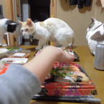 本庄鮮魚センター - 食べてみた