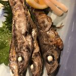 Sushi Kisetsu Ryouri Kihachi - 