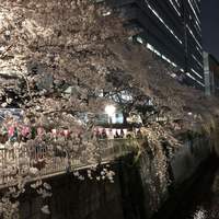 目黒の和食 さとう - 