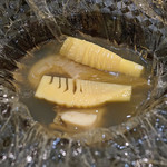 トゥ・ラ・ジョア - 合馬産筍の昆布風味