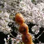 Namikiya - 美しい焼き色と芳ばしい焦げ。東川桜通りの桜と。